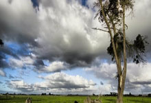 尤文图斯球队引入阿根廷当红球星