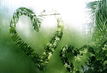 尤文图斯球队引入阿根廷当红球星