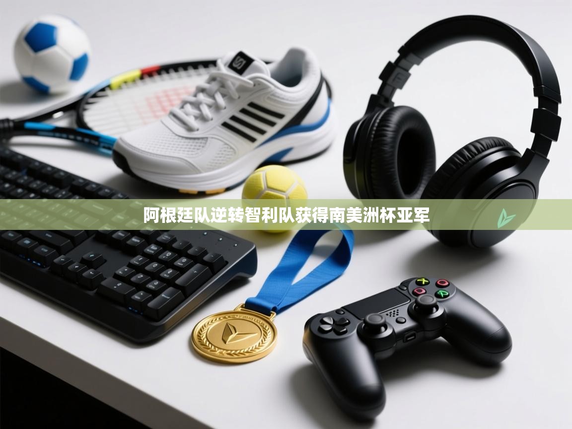 阿根廷队逆转智利队获得南美洲杯亚军 第2张