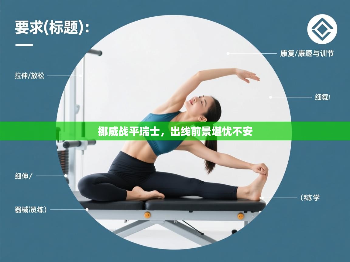 挪威战平瑞士，出线前景堪忧不安  第2张