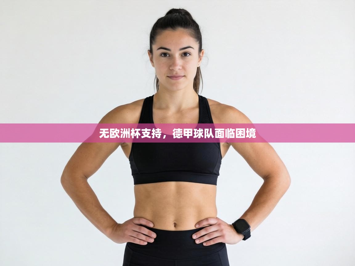 无欧洲杯支持,德甲球队面临困境 第1张