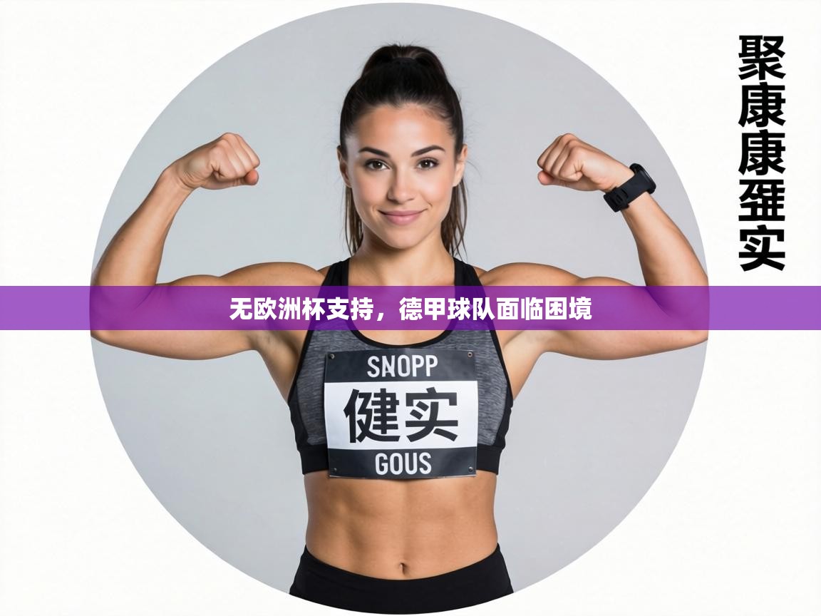 无欧洲杯支持,德甲球队面临困境 第2张