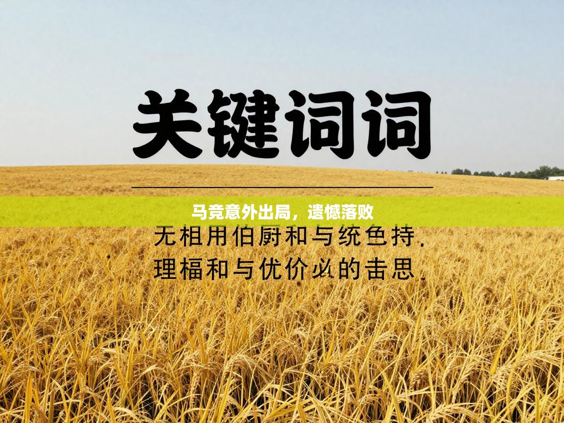 马竞意外出局,遗憾落败 第2张